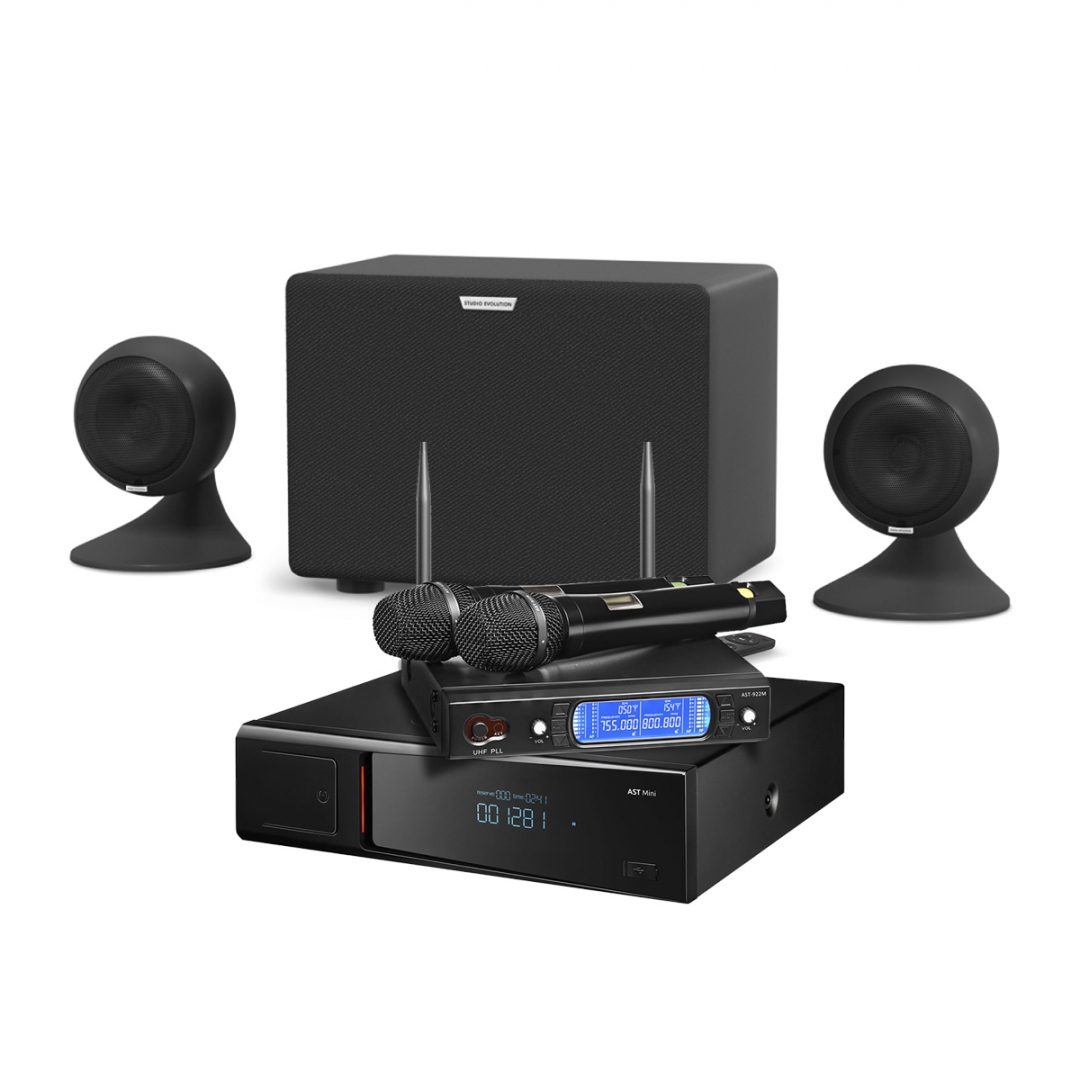 караоке-комплект AST Mini Sound Sphere в Удмуртии