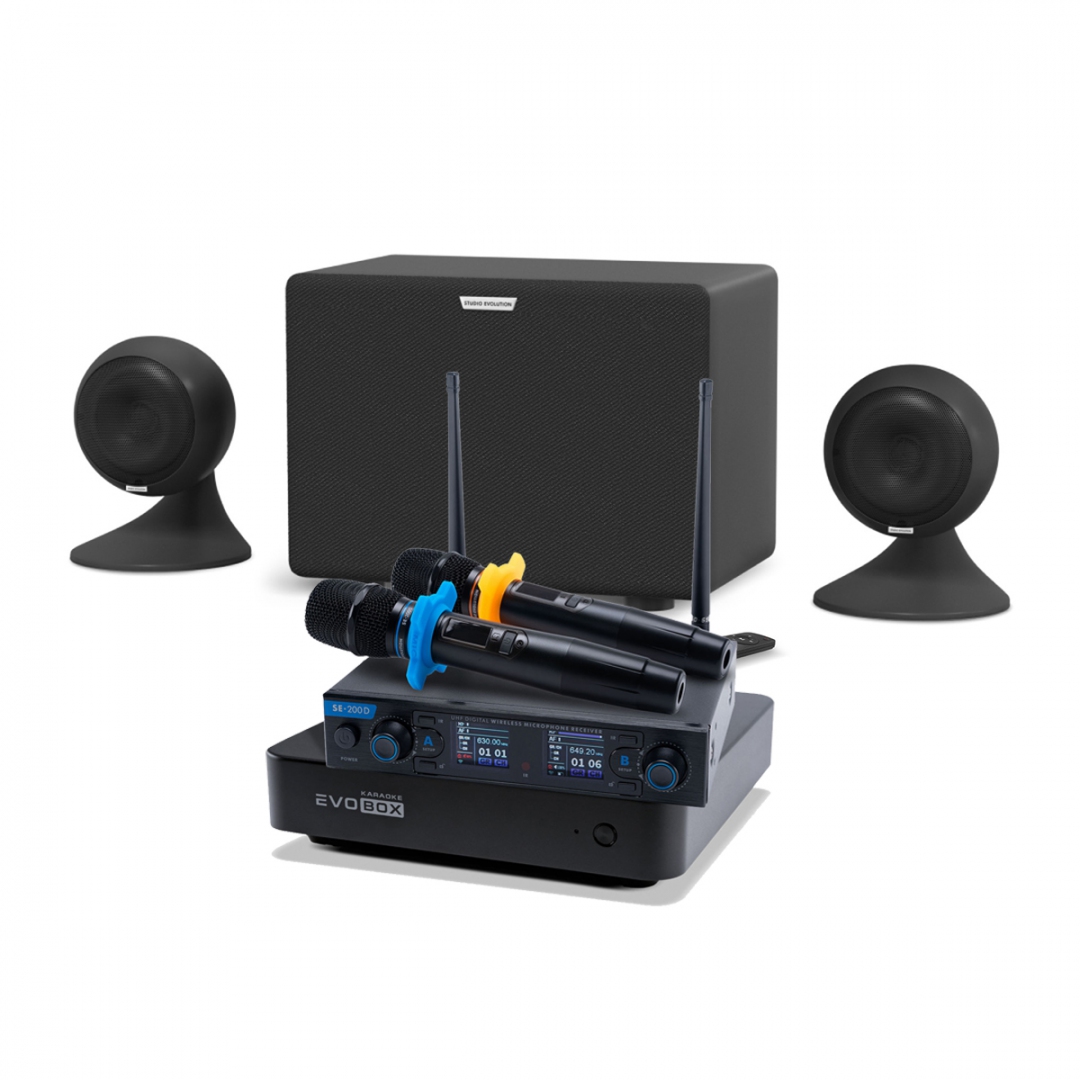 караоке-комплект EVOBOX + EvoSound Sphere 2.1 в Удмуртии