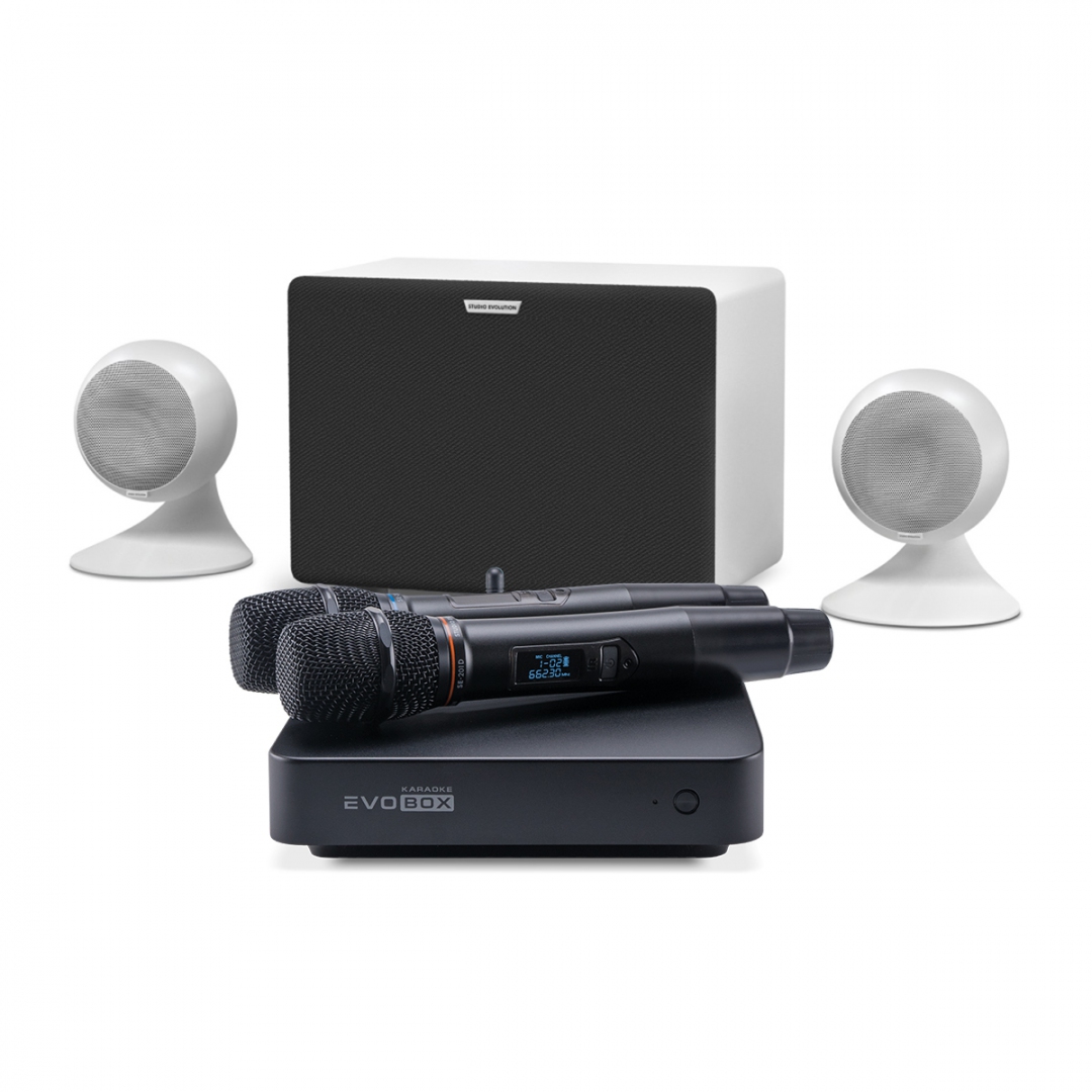 караоке-комплект EVOBOX Classic + EvoSound Sphere 2.1 в Удмуртии