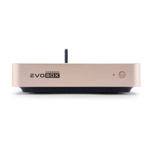 EVOBOX Classic караоке-система для дома в Удмуртии