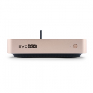 EVOBOX Plus караоке-система для дома в Удмуртии