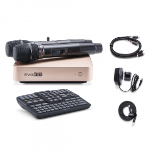 EVOBOX Plus караоке-система для дома в Удмуртии