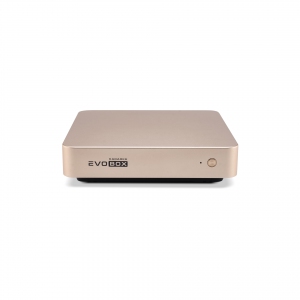 EVOBOX с микрофонами в Удмуртии